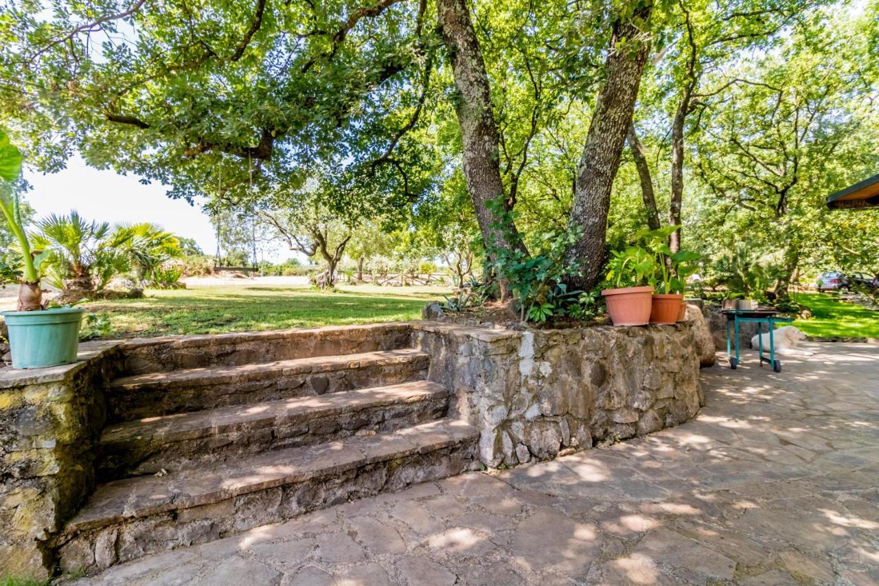 Country House Di Campo Stivaletto Nepi Εξωτερικό φωτογραφία