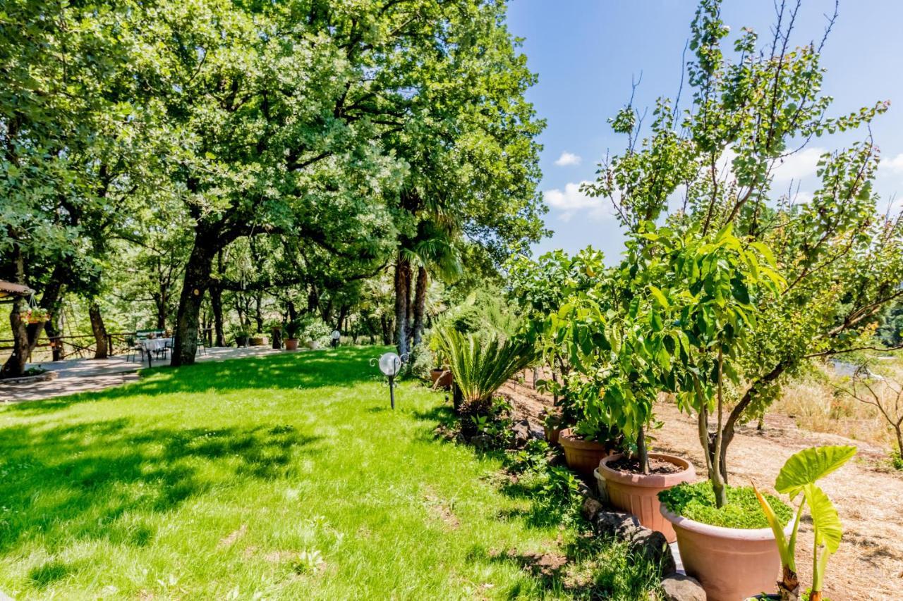 Country House Di Campo Stivaletto Nepi Εξωτερικό φωτογραφία